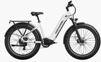 Mokwheel Basalt 2.0 (Step Through)
