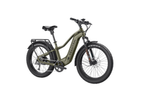 Velotric Nomad 2 (High-Step)