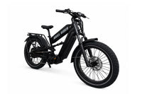Ariel Rider MUDD 72V - PPB