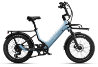 Carbon Joy E-Bike