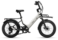 Carbon Joy E-Bike