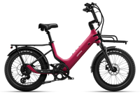 Carbon Joy E-Bike