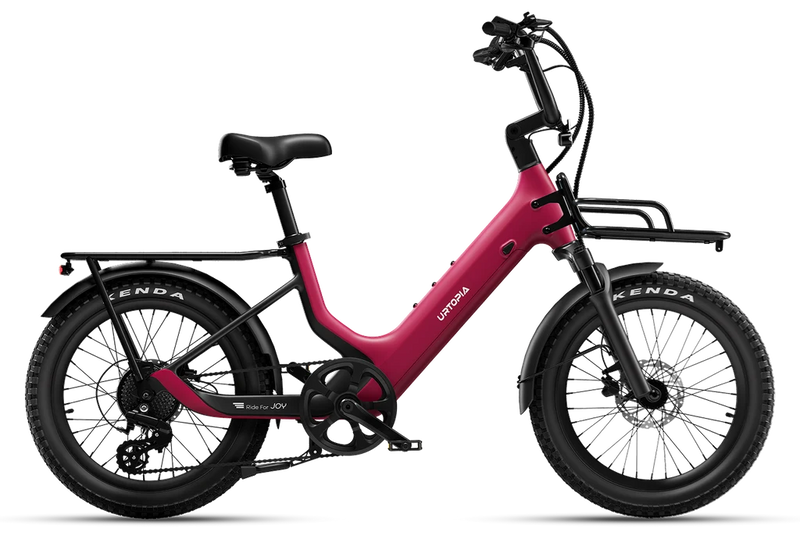 Carbon Joy E-Bike
