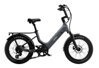Carbon Joy E-Bike
