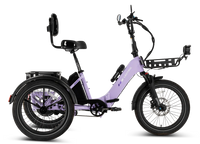 Lectric XP Trike2 (750w)